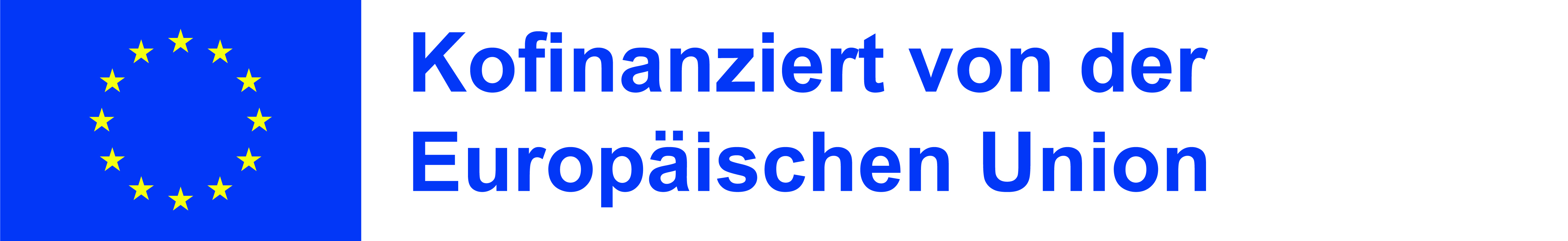 Co-funded by the European Union